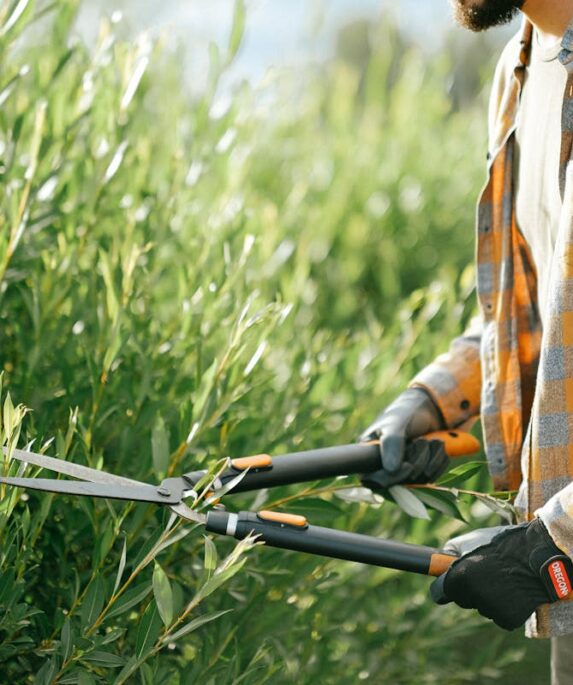 Arbeiten im Garten im Herbst