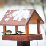 Vogelfutterhӓuser im Garten